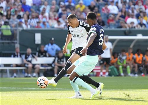 Fulham contre Brentford